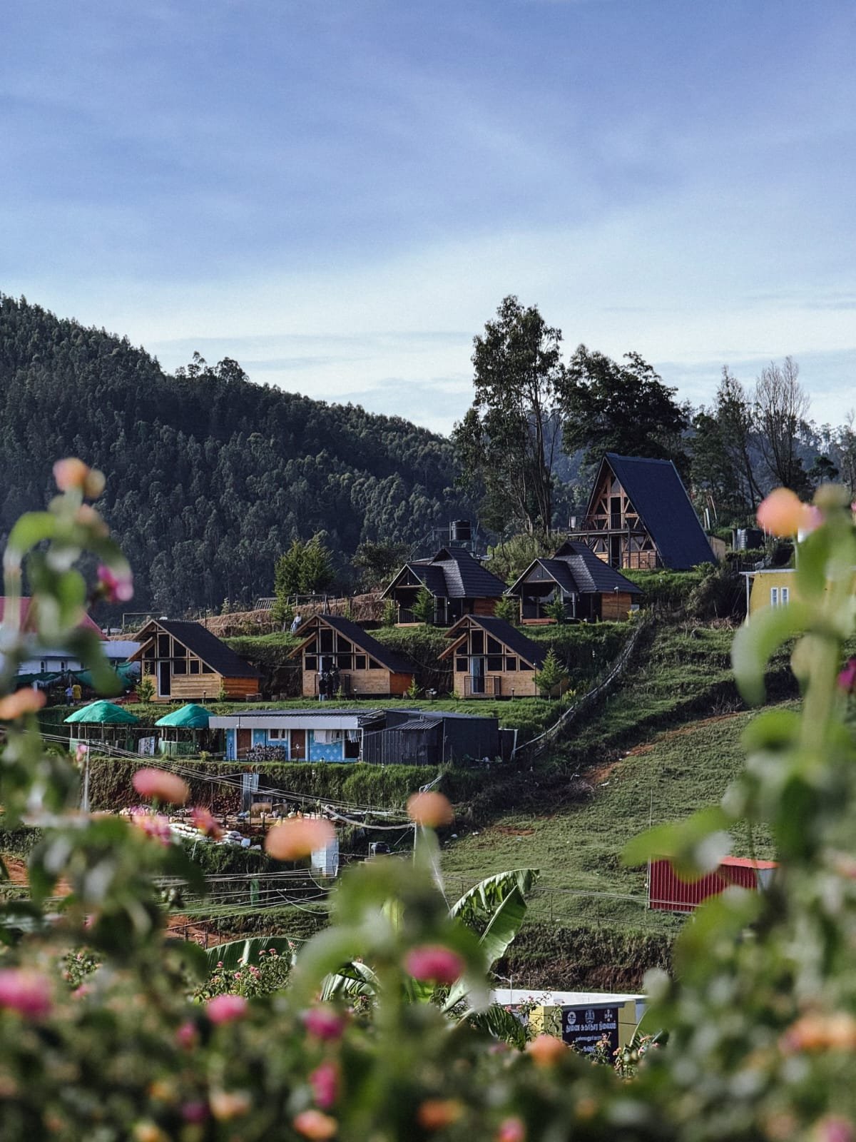 In the hills