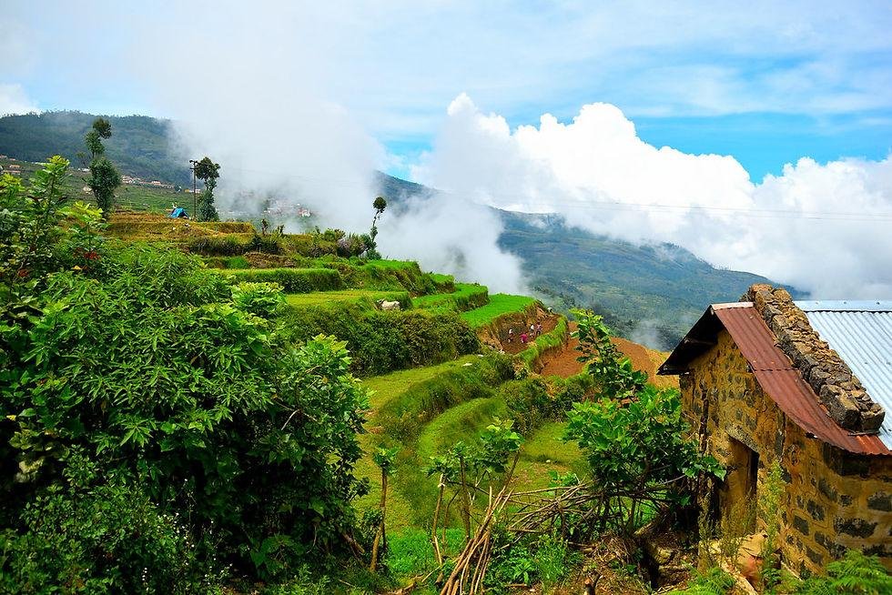 Kodaikanal
